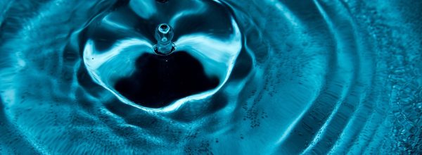 Prologoksen tapahtumavuosi 2023 paketoituna – Ajankohtaisia tutkimusteemoja, lainaamista ja tieteellisen tiedon taivuttelua