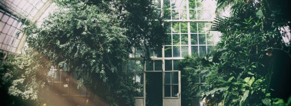 Mistä bloggaisit, viestinnän ja vuorovaikutuksen ammattilainen?