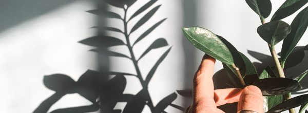 Humaanista kosketuksesta älyvaatteisiin – kosketusviestien tutkijan matkassa