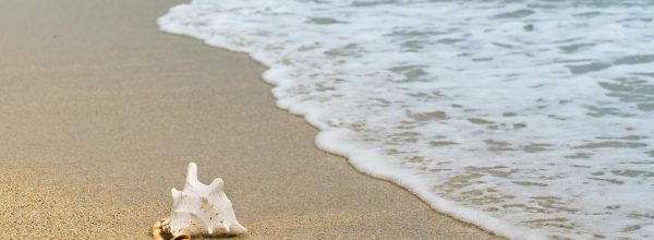 Kuuntelemisen voima – aliarvostettu vaikuttamisen muoto